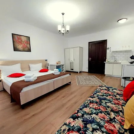 شقة Casa Roth براشوف