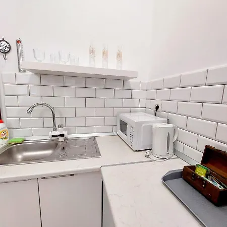 Casa Roth Apartment Brasov
