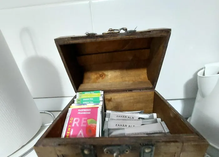 Casa Roth 公寓 布拉索夫