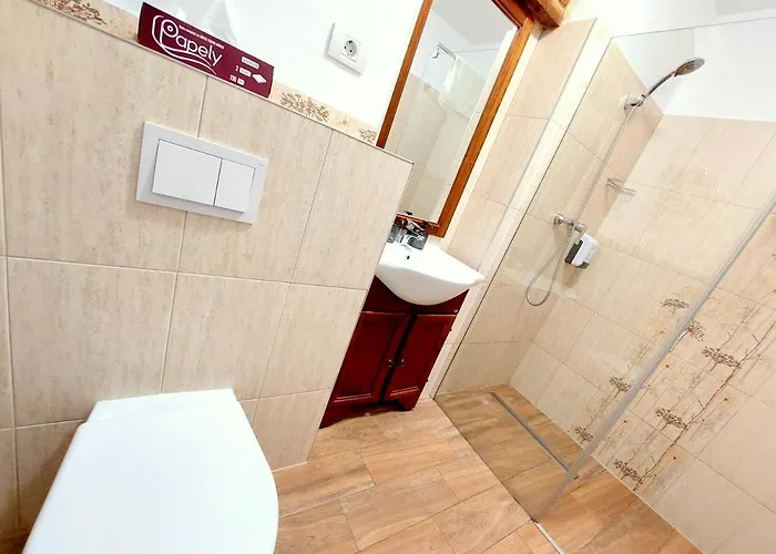 Casa Roth Апартаменти Брашов