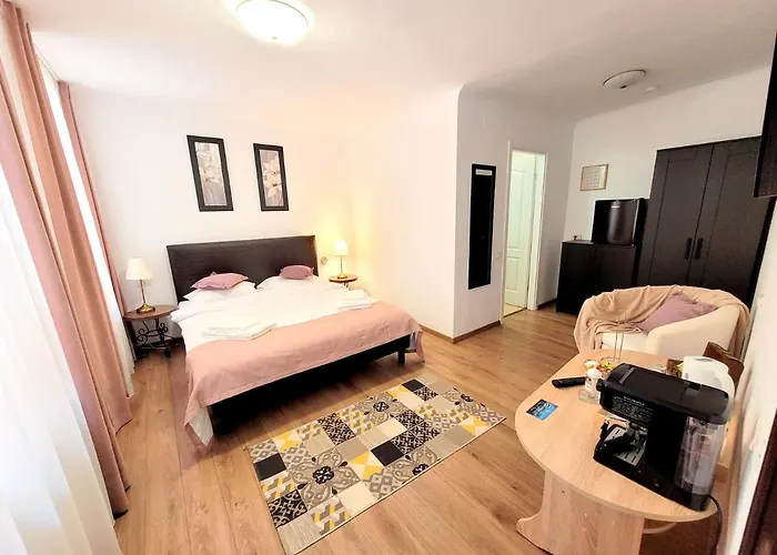 Casa Roth 布拉索夫