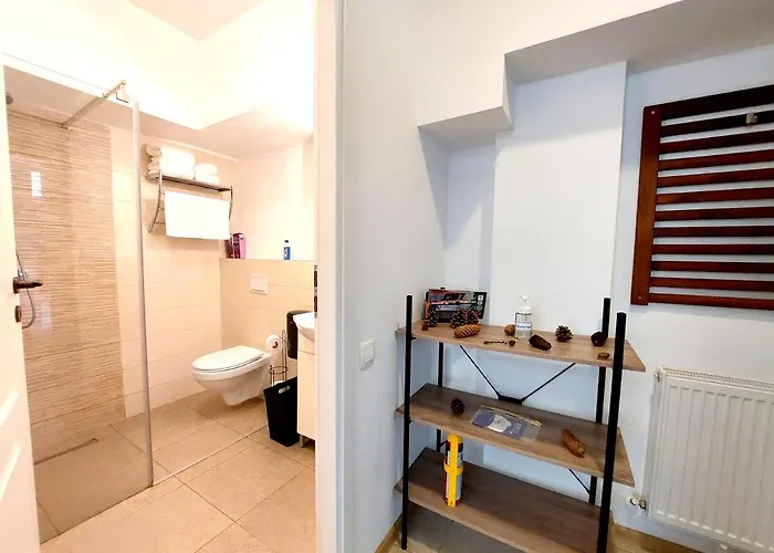 Casa Roth 布拉索夫